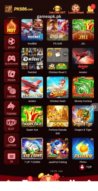 pk686-game-interface