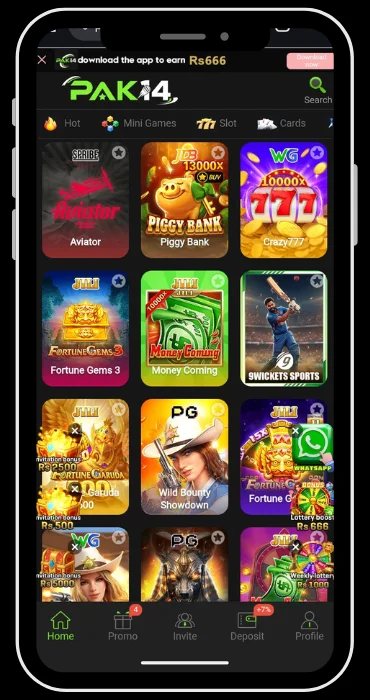 Pak14 Game Interface